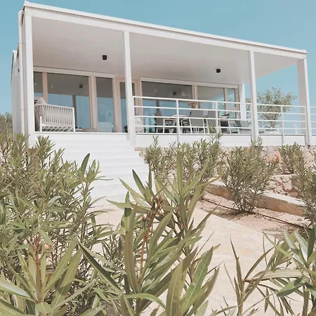 Amara - * دراغ